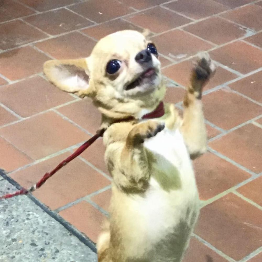 Meet your Posher, Jen